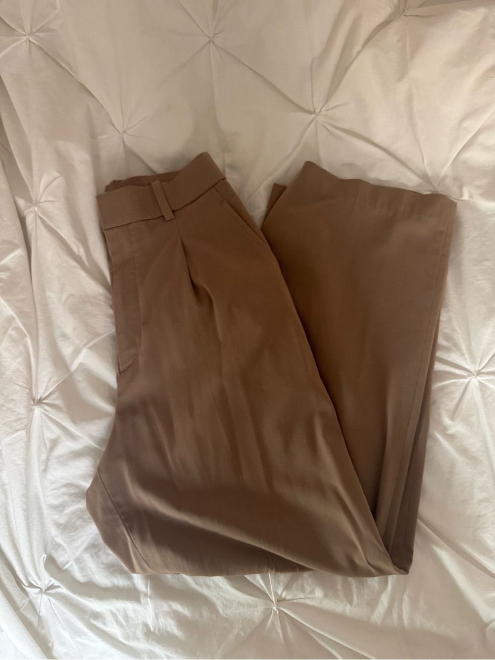 Uniqlo Pleated Wide Pants